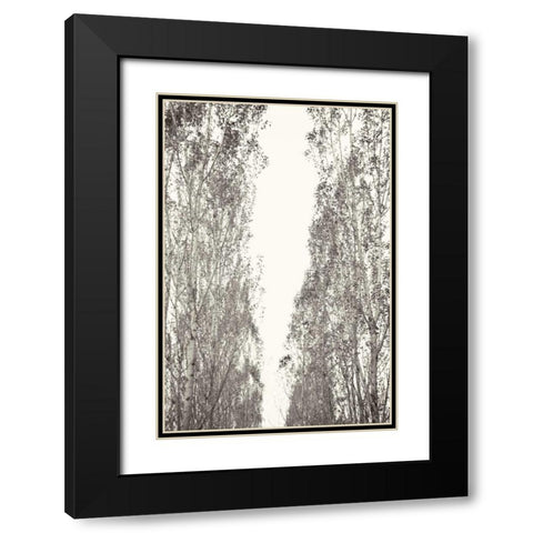 Trees III Black Modern Wood Framed Art Print with Double Matting by Millet, Karyn