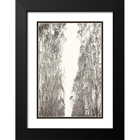 Trees III Black Modern Wood Framed Art Print with Double Matting by Millet, Karyn