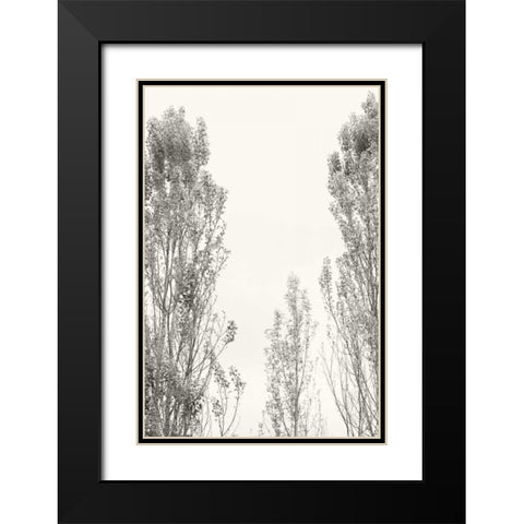 Trees IV Black Modern Wood Framed Art Print with Double Matting by Millet, Karyn
