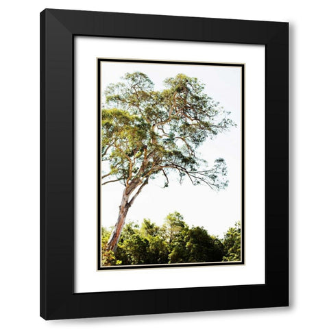 Trees V Black Modern Wood Framed Art Print with Double Matting by Millet, Karyn