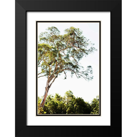 Trees V Black Modern Wood Framed Art Print with Double Matting by Millet, Karyn
