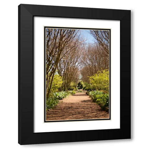 The Park in Autumn Black Modern Wood Framed Art Print with Double Matting by Millet, Karyn