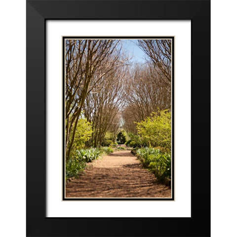 The Park in Autumn Black Modern Wood Framed Art Print with Double Matting by Millet, Karyn