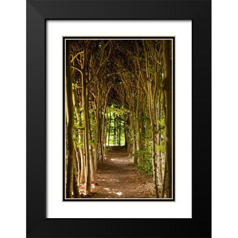 Path Through the Trees Black Modern Wood Framed Art Print with Double Matting by Millet, Karyn