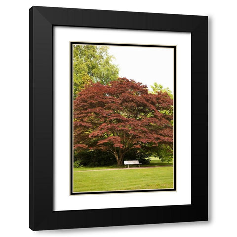 Fall in the Park Black Modern Wood Framed Art Print with Double Matting by Millet, Karyn