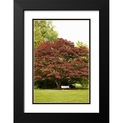 Fall in the Park Black Modern Wood Framed Art Print with Double Matting by Millet, Karyn