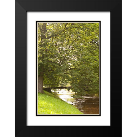 Bridge Over the Creek Black Modern Wood Framed Art Print with Double Matting by Millet, Karyn