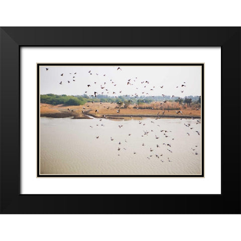 Birds I Black Modern Wood Framed Art Print with Double Matting by Millet, Karyn