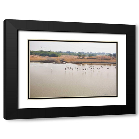 Birds II Black Modern Wood Framed Art Print with Double Matting by Millet, Karyn
