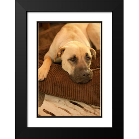 Resting Black Modern Wood Framed Art Print with Double Matting by Millet, Karyn