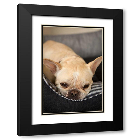 Resting II Black Modern Wood Framed Art Print with Double Matting by Millet, Karyn