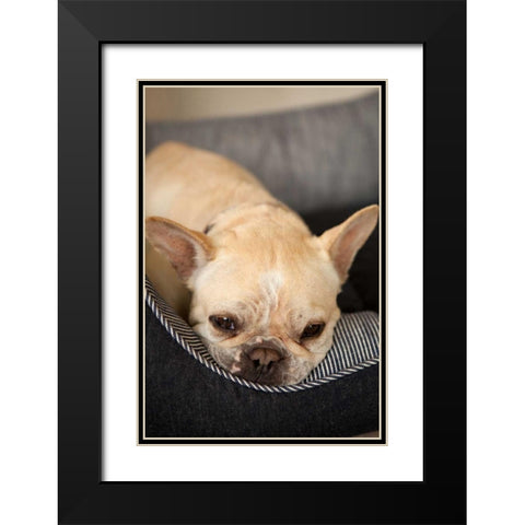 Resting II Black Modern Wood Framed Art Print with Double Matting by Millet, Karyn