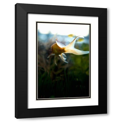 Goldfish II Black Modern Wood Framed Art Print with Double Matting by Millet, Karyn