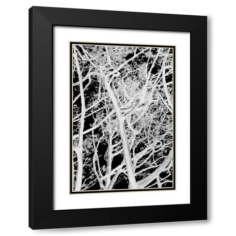 Tree Scatter Black Modern Wood Framed Art Print with Double Matting by Millet, Karyn
