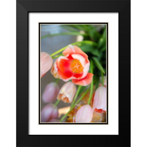 Spring Bloom I Black Modern Wood Framed Art Print with Double Matting by Millet, Karyn