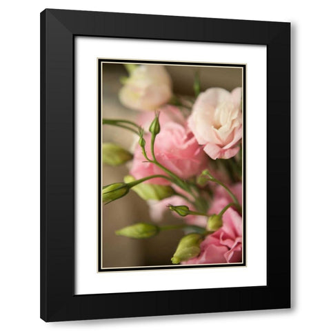 Pink Blossoms II Black Modern Wood Framed Art Print with Double Matting by Millet, Karyn