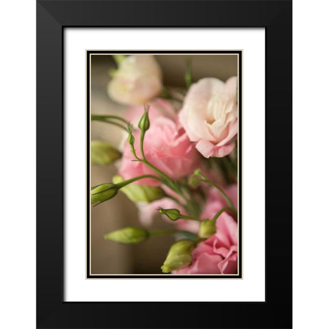 Pink Blossoms II Black Modern Wood Framed Art Print with Double Matting by Millet, Karyn