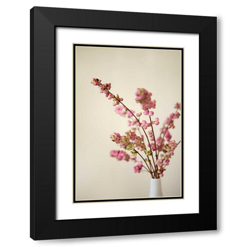 Fresh Cut Flowers II Black Modern Wood Framed Art Print with Double Matting by Millet, Karyn