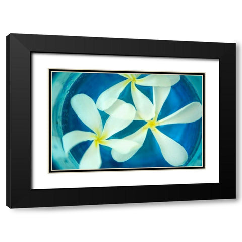 Floating Flowers II Black Modern Wood Framed Art Print with Double Matting by Millet, Karyn