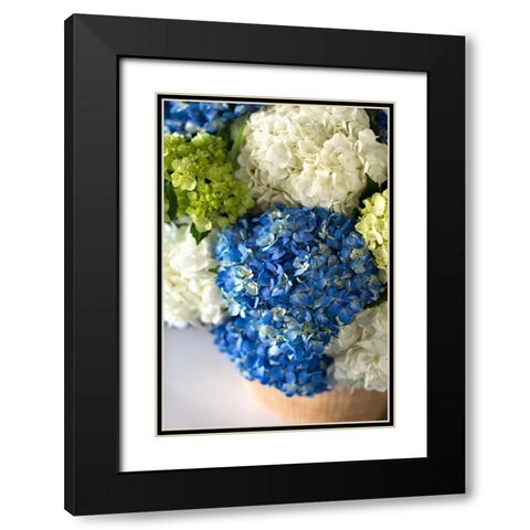 Hydrangea Bouquet Black Modern Wood Framed Art Print with Double Matting by Millet, Karyn