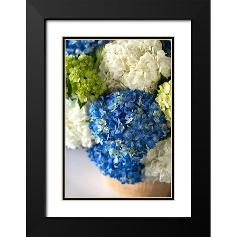 Hydrangea Bouquet Black Modern Wood Framed Art Print with Double Matting by Millet, Karyn
