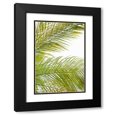 Palms in the Sun I Black Modern Wood Framed Art Print with Double Matting by Millet, Karyn