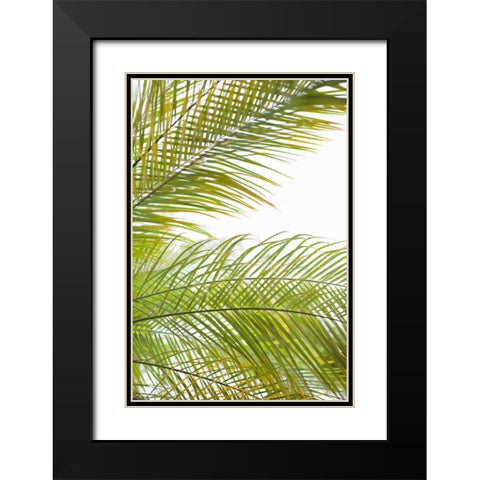 Palms in the Sun I Black Modern Wood Framed Art Print with Double Matting by Millet, Karyn
