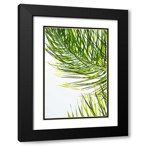 Palms in the Sun II Black Modern Wood Framed Art Print with Double Matting by Millet, Karyn
