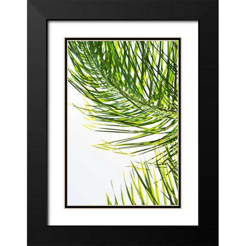 Palms in the Sun II Black Modern Wood Framed Art Print with Double Matting by Millet, Karyn