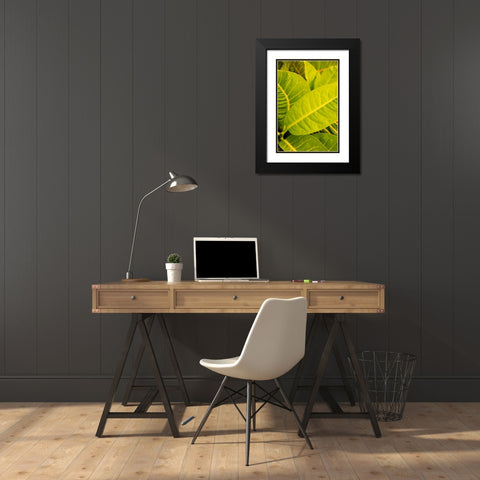 Green Leaves I Black Modern Wood Framed Art Print with Double Matting by Millet, Karyn