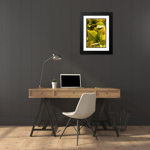 Green Leaves II Black Modern Wood Framed Art Print with Double Matting by Millet, Karyn