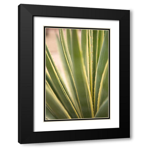Succulent Garden I Black Modern Wood Framed Art Print with Double Matting by Millet, Karyn