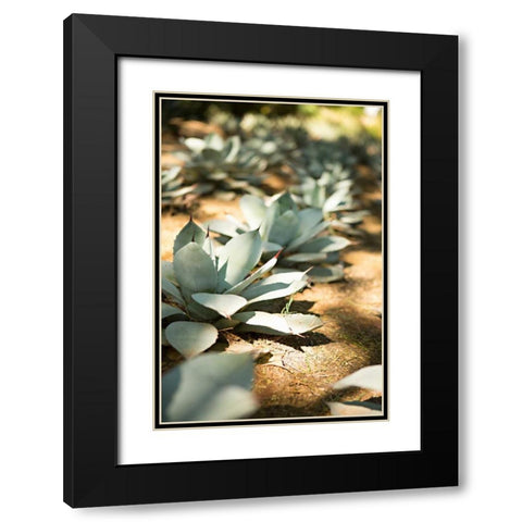 Succulent Garden III Black Modern Wood Framed Art Print with Double Matting by Millet, Karyn
