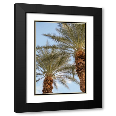 Below the Palms III Black Modern Wood Framed Art Print with Double Matting by Millet, Karyn