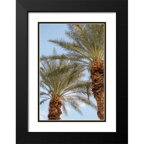 Below the Palms III Black Modern Wood Framed Art Print with Double Matting by Millet, Karyn