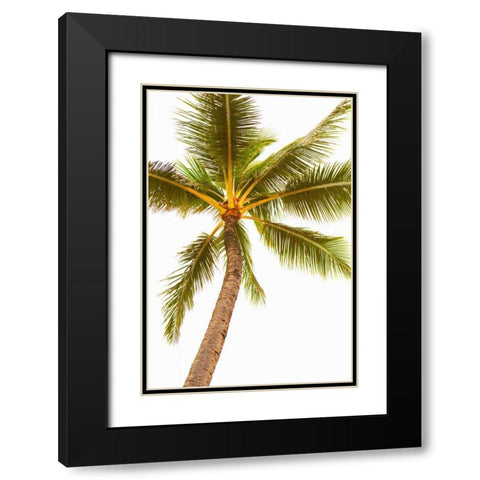 Below the Palms V Black Modern Wood Framed Art Print with Double Matting by Millet, Karyn