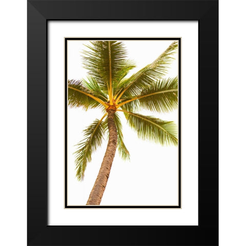 Below the Palms V Black Modern Wood Framed Art Print with Double Matting by Millet, Karyn
