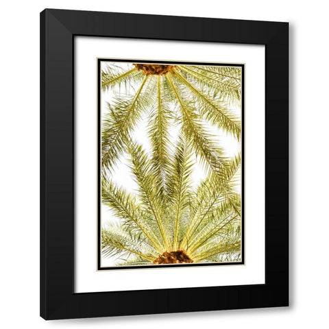 Below the Palms VI Black Modern Wood Framed Art Print with Double Matting by Millet, Karyn
