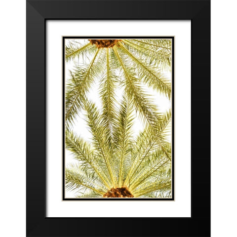 Below the Palms VI Black Modern Wood Framed Art Print with Double Matting by Millet, Karyn