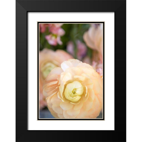 Pastel Peach Floral Black Modern Wood Framed Art Print with Double Matting by Millet, Karyn