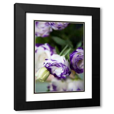 Purple Tipped Floral II Black Modern Wood Framed Art Print with Double Matting by Millet, Karyn