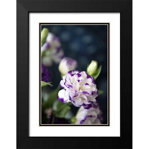 Purple Tipped Floral III Black Modern Wood Framed Art Print with Double Matting by Millet, Karyn