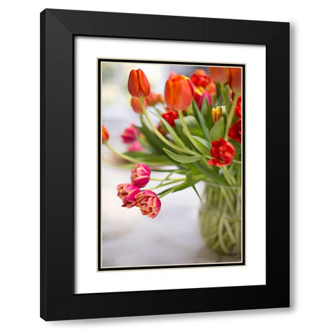 Blooming Tulips Black Modern Wood Framed Art Print with Double Matting by Millet, Karyn