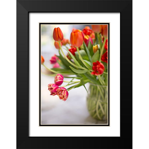 Blooming Tulips Black Modern Wood Framed Art Print with Double Matting by Millet, Karyn