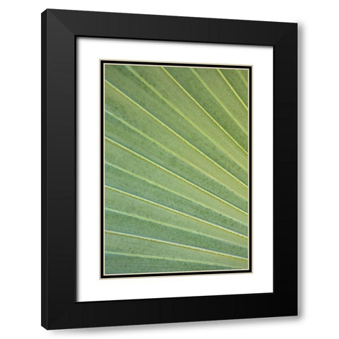 Tropical Leaf Close-Up I Black Modern Wood Framed Art Print with Double Matting by Millet, Karyn