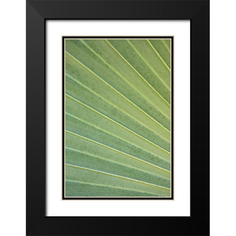 Tropical Leaf Close-Up I Black Modern Wood Framed Art Print with Double Matting by Millet, Karyn