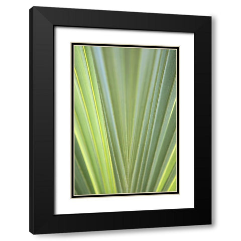Tropical Leaf Close-Up II Black Modern Wood Framed Art Print with Double Matting by Millet, Karyn