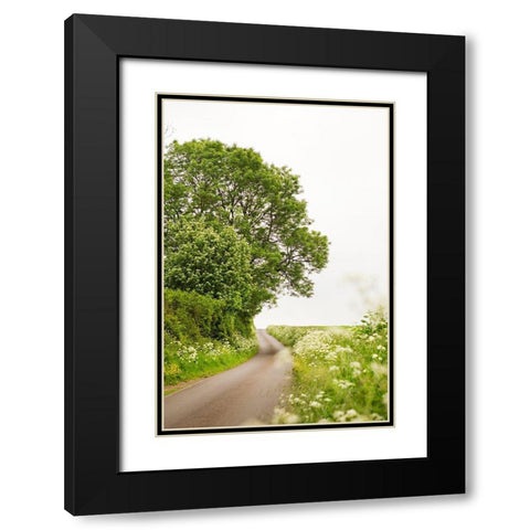 Winding Floral Lined Road Black Modern Wood Framed Art Print with Double Matting by Millet, Karyn
