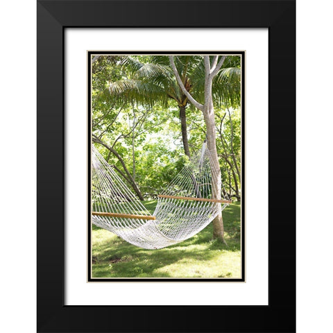 Tropical Siesta Black Modern Wood Framed Art Print with Double Matting by Millet, Karyn