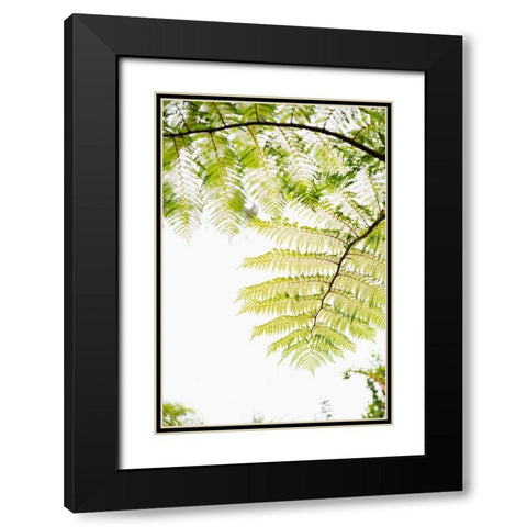 Sunlit Tropical Silhouette I Black Modern Wood Framed Art Print with Double Matting by Millet, Karyn